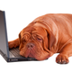 Illustration for article titled Does This Comment Describe The Place Where You Work?
